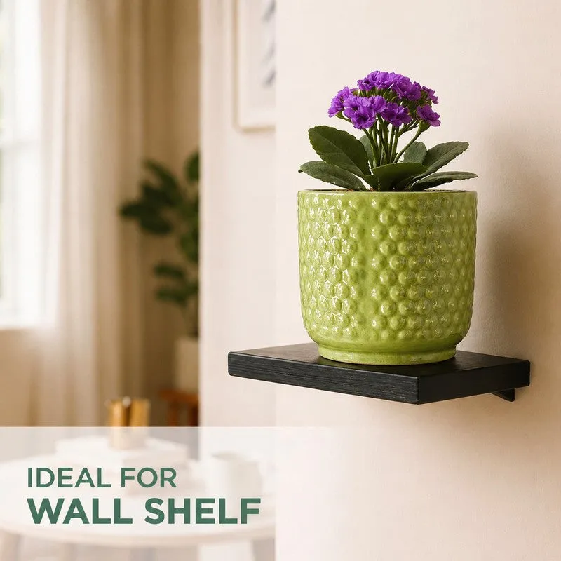 Green bubble-textured planter with a flowering plant on a wall shelf
