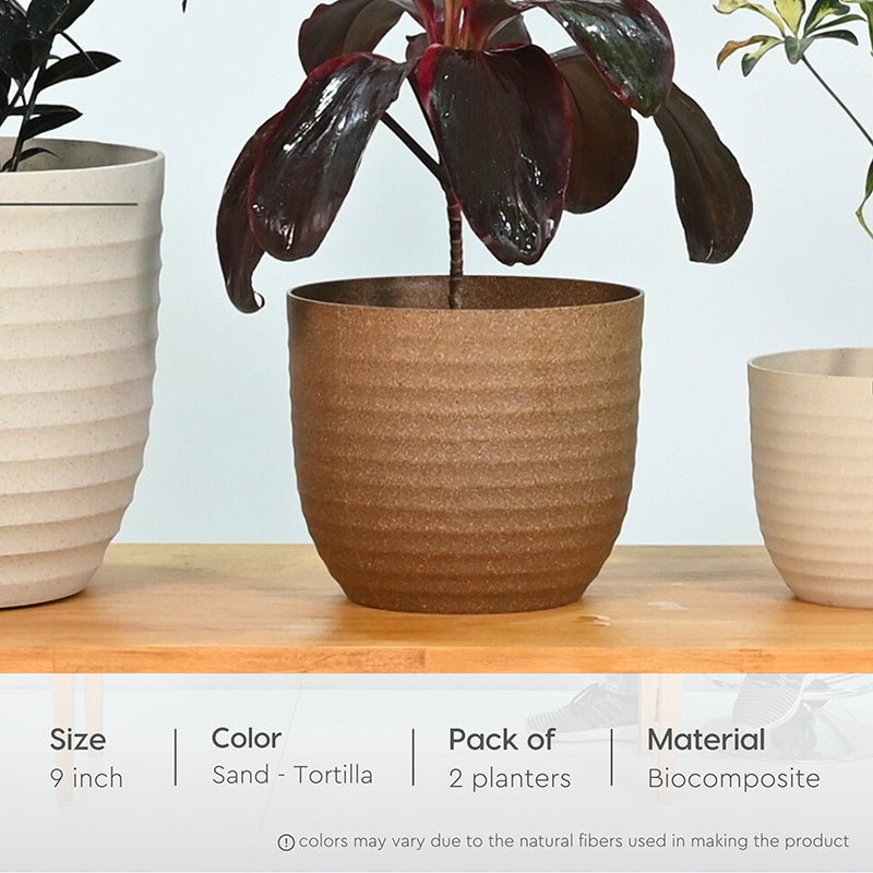Vita Shell Planter - Set Of Two image 7