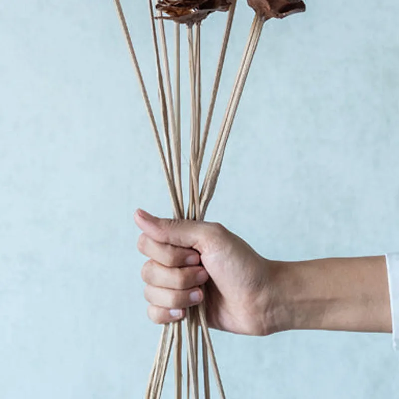 Oley Cedar Wood Rose Stick (Brown)- Set Of Ten media 5