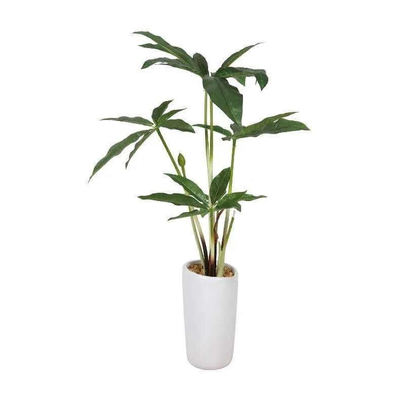 Faux Pachira Bonsai In Tube Pot - 38 cms media 3