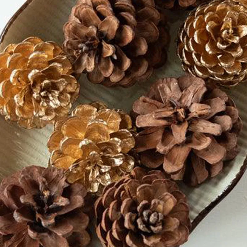 Ignatio Pine Cones - Set Of Ten media 5