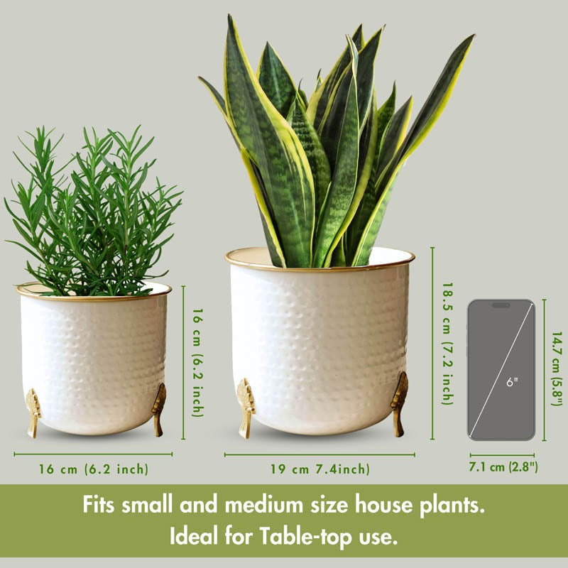 Aurea Metal Hammered Gold Rim Leaf leg Planter - Set of Two media 5