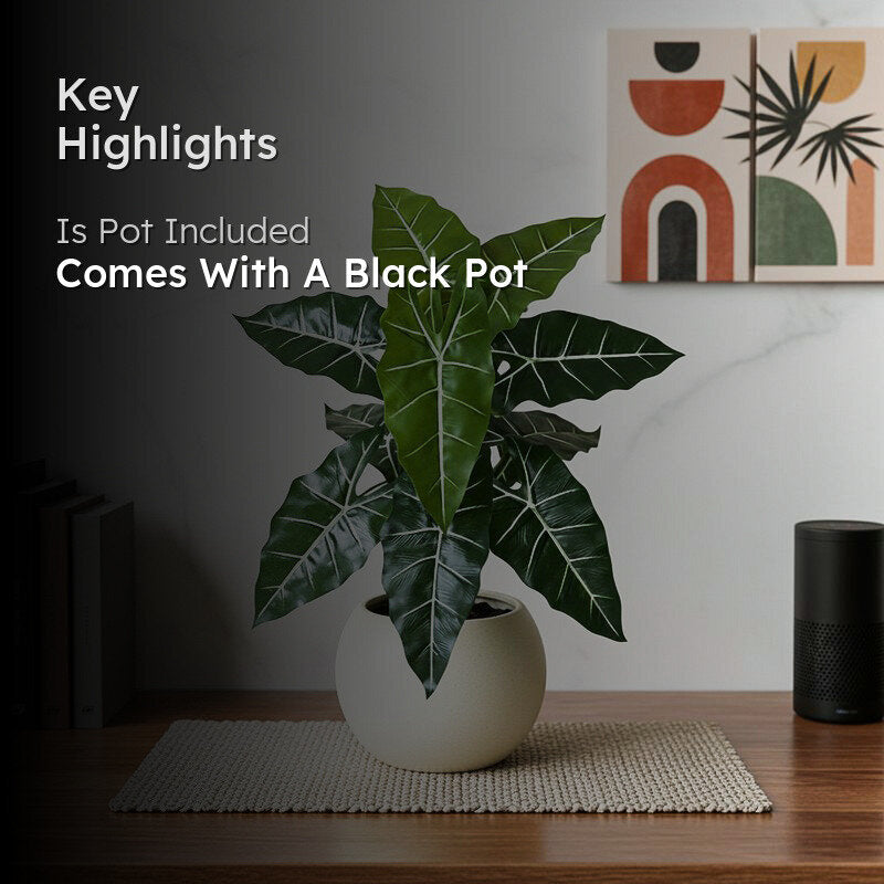 Faux Everlasting Caladium Plant With Black Plastic Pot - 79 cm (2.6 ft) media 2