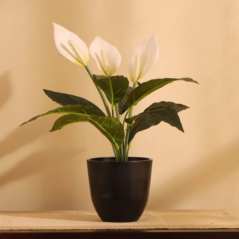 Onyx FRP Pot (Set Of Four) - 5 Inch media 2