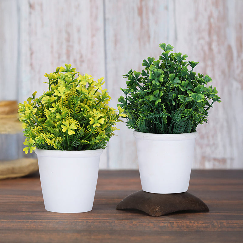 Belka Artificial Plant With Black Plastic Pot - Set Of Two