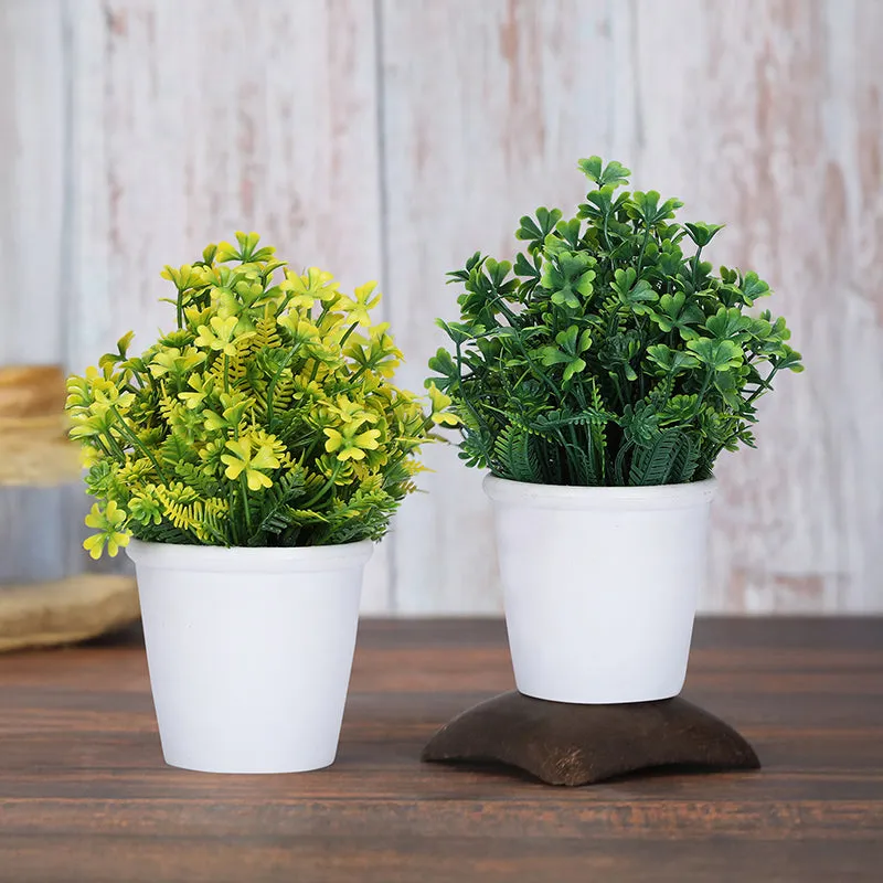 Belka Artificial Plant With Black Plastic Pot - Set Of Two media 1