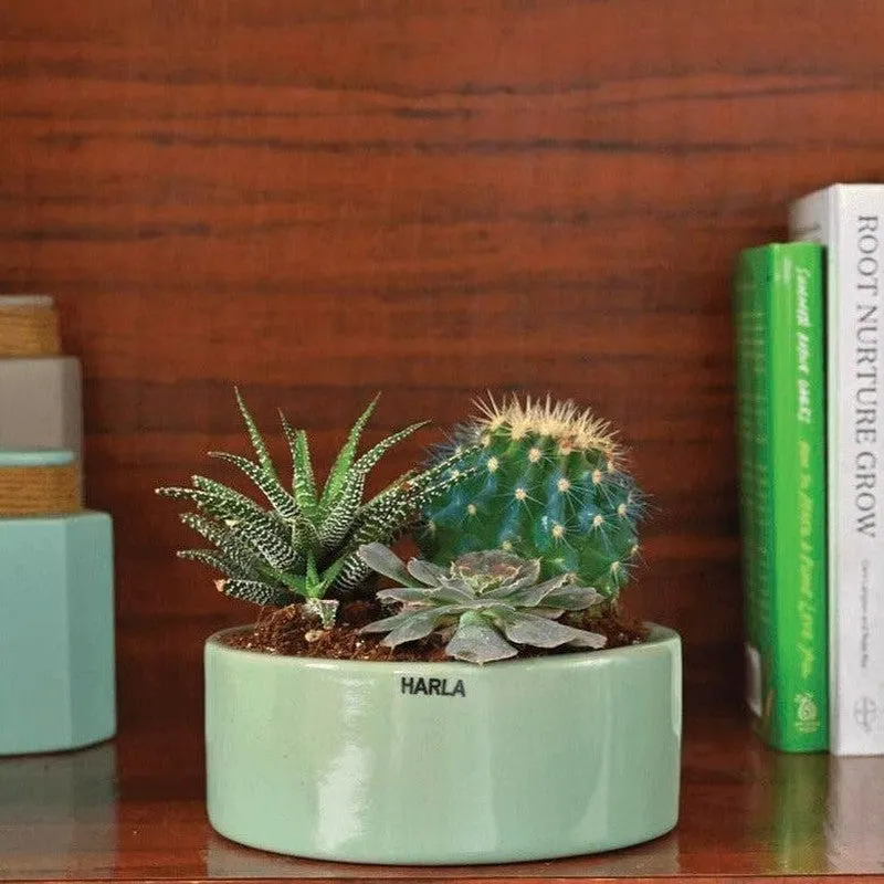 Ugaoo Lilac Stories Ceramic Pot (17.5 CM) - Aqua Green media 3