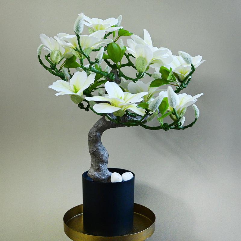 Magnira Artificial Mini Magnolia Tree With Black Plastic Pot (White & Green) - 50 cm media 3