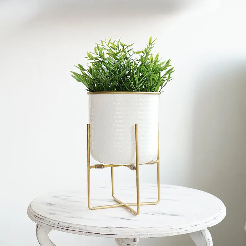 Rhaella Iron Planter - Small media 3