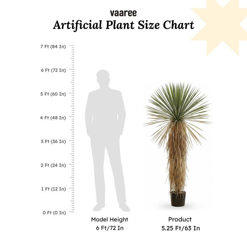 Sylvo Artificial Yucca Thompsonia Plant With Black Plastic Pot - 5.2 ft media 7