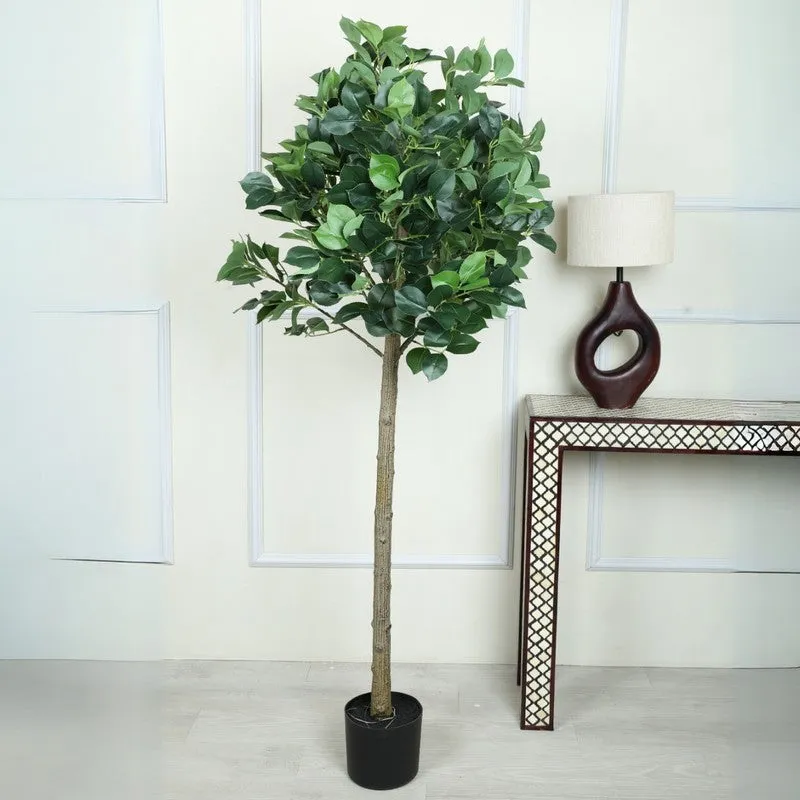 Artificial Topiary Camelia Leaf Plant With Black Fiber Pot - 5 Feet media 3