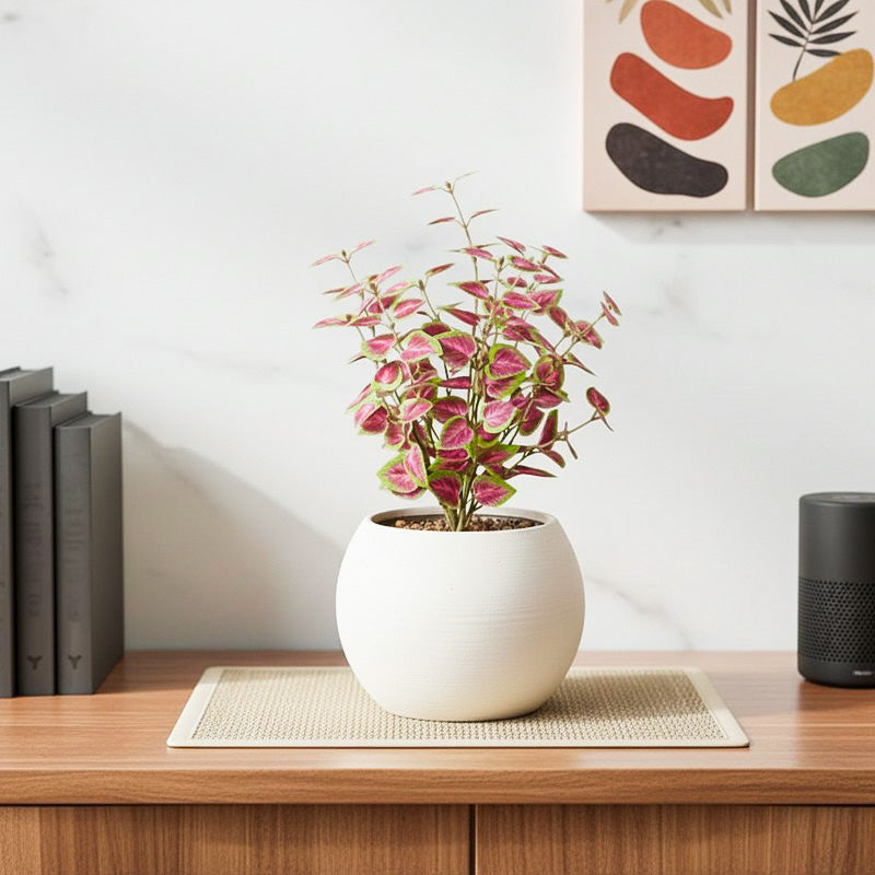 Artificial Coleous Plant With Black Fiber Pot (Pink) - 1 Feet