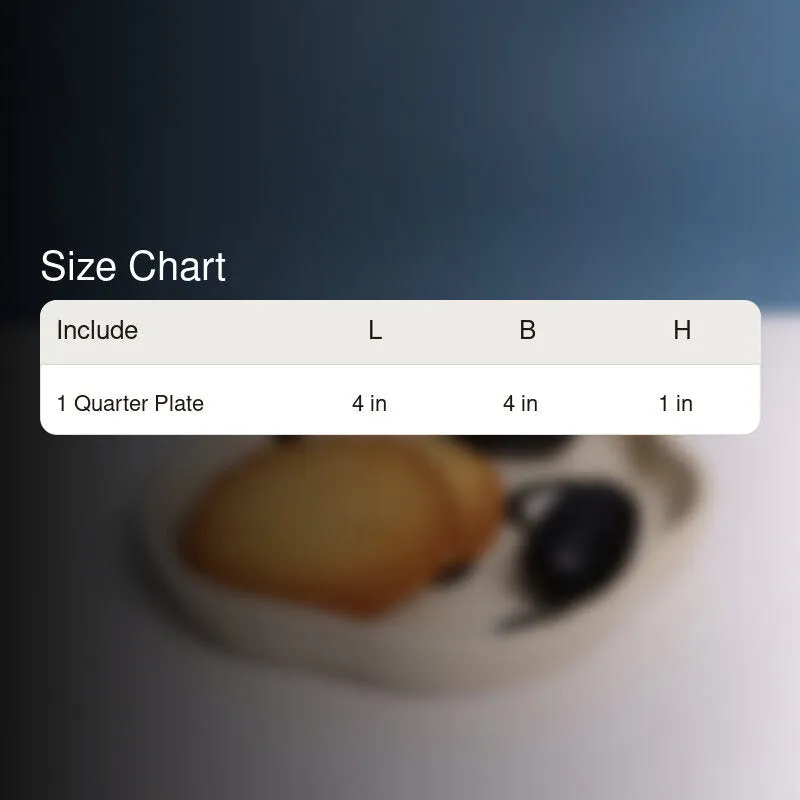 Flavia Ceramic Quarter Plate media 6