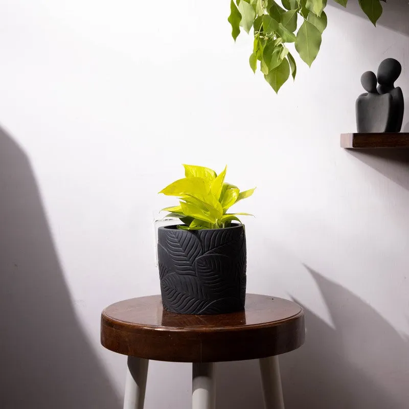 Leaf Print Planter - Black media 2