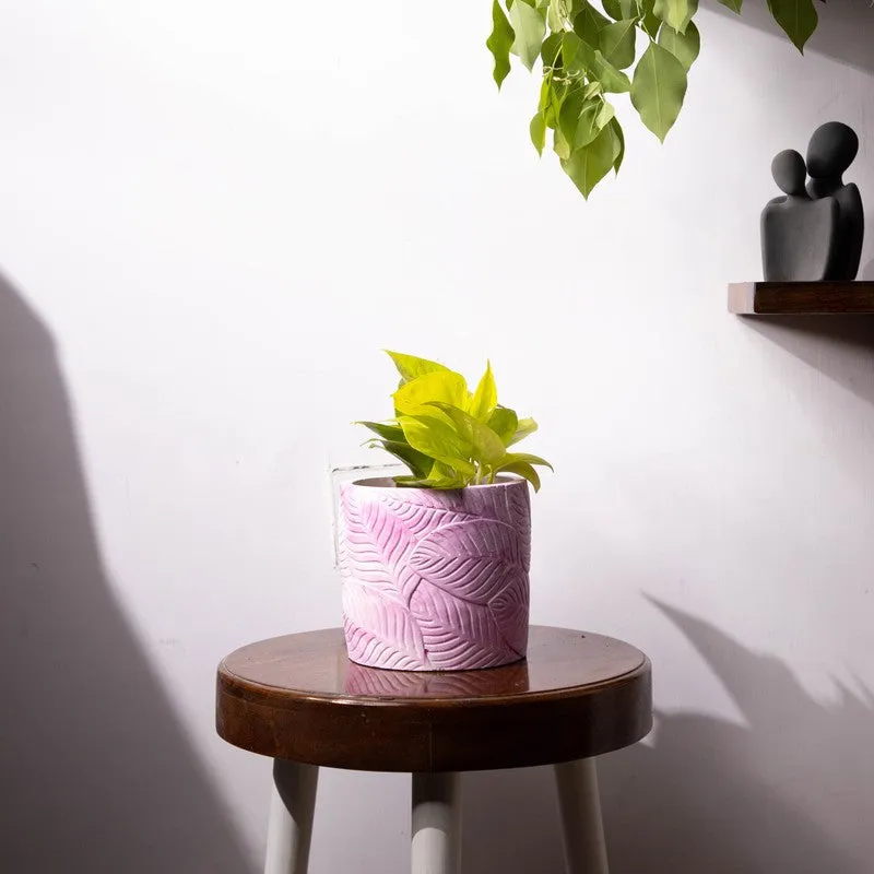 Leaf Print Planter - Pink media 2