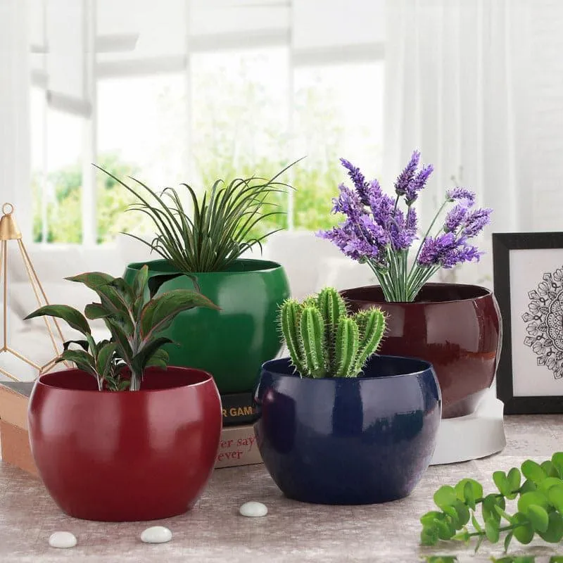 Four glossy planters in red, green, blue and purple with plants.