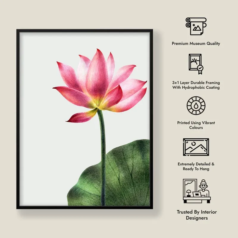 Painted Lotus Archival Paper Wall Art With Frame media 9