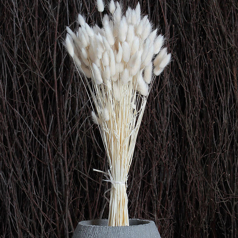 Dried Flowers & Leaves