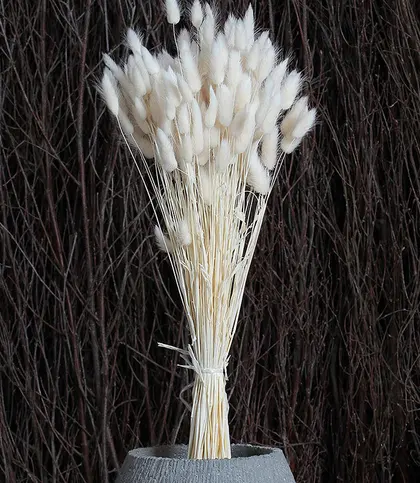 Dried Flowers & Leaves