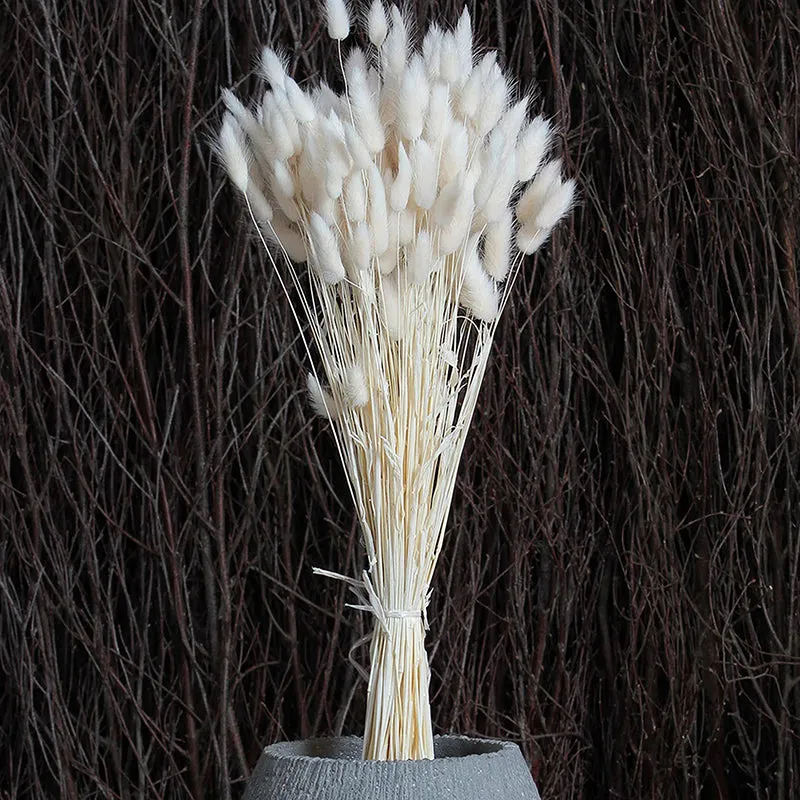 Cloudtail Dried Bunny Tail Stem (White) - Set Of Thirty media 1