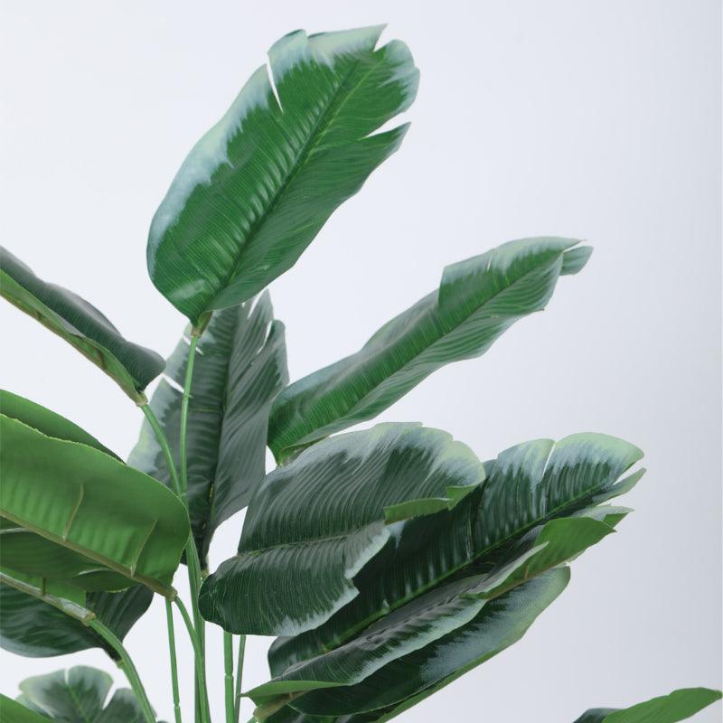 Faux Mini White Calathea Plant With Black Plastic Pot - 60 cms media 5