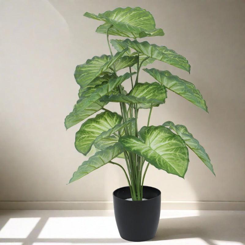 Faux Tropica Dumb Cane Plant With Black Plastic Pot - 2.13 ft media 4