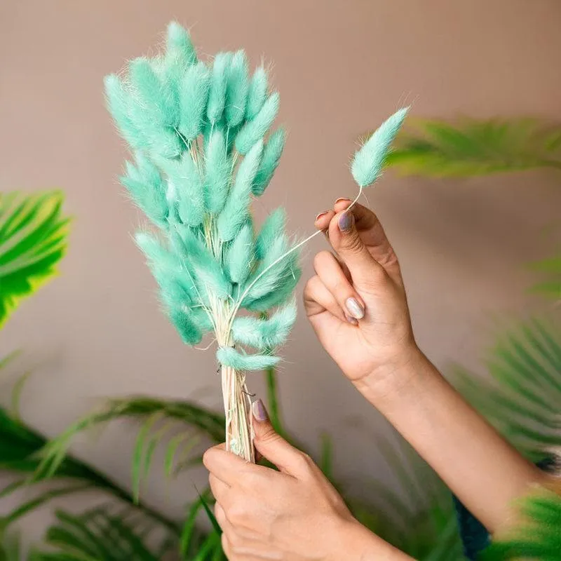 Naturally Dried Bunny Tail Stems (Mint Green) - Set Of Fifty media 1