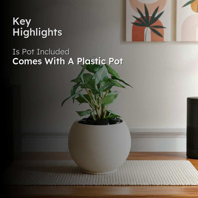 Moniva Artificial Pothos/Money Plant With Black Plastic Pot (Green) - 19 cm media 2
