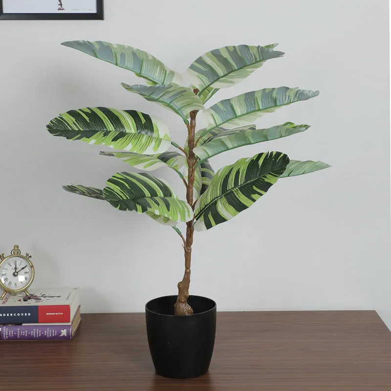 Erina Artificial White Banana Plant With Black Plastic Pot - 2.5 Feet media 3