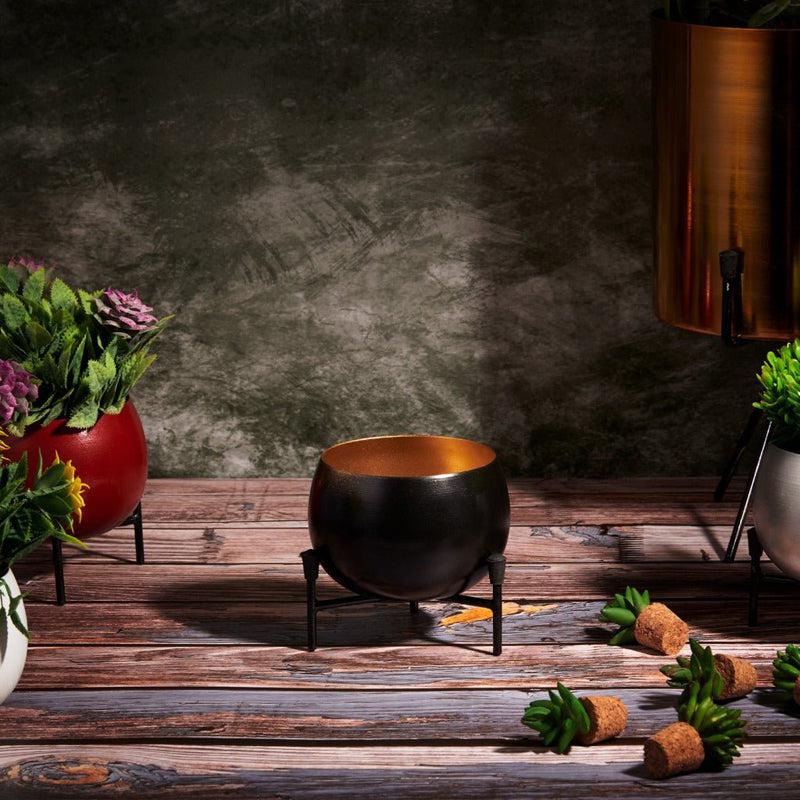 Eukene Metal Planter - Black media 3