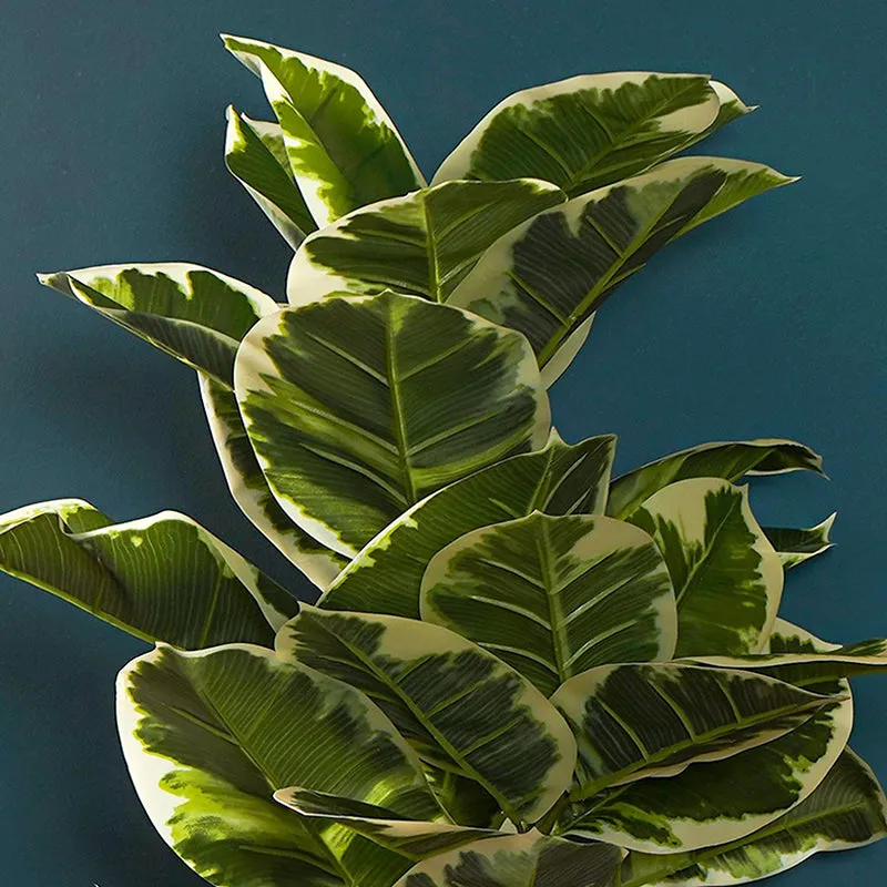 Veridora Artificial Rubber Plant With Black Plastic Pot - 2.5 Feet media 4