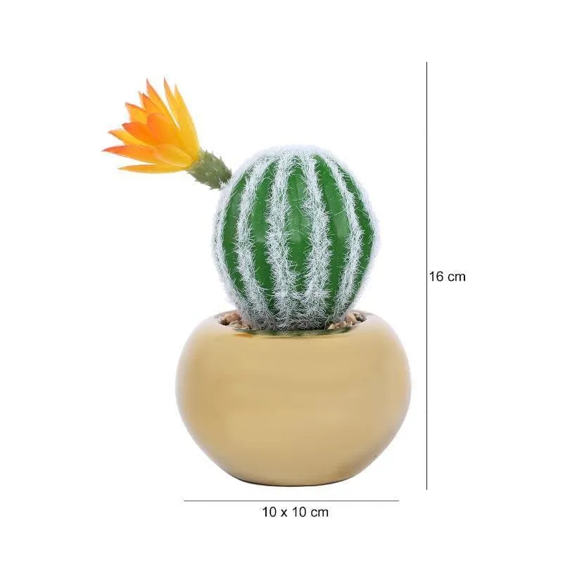 Faux Stripe Cacti In Round Ceramic Pot - 17 cms media 4