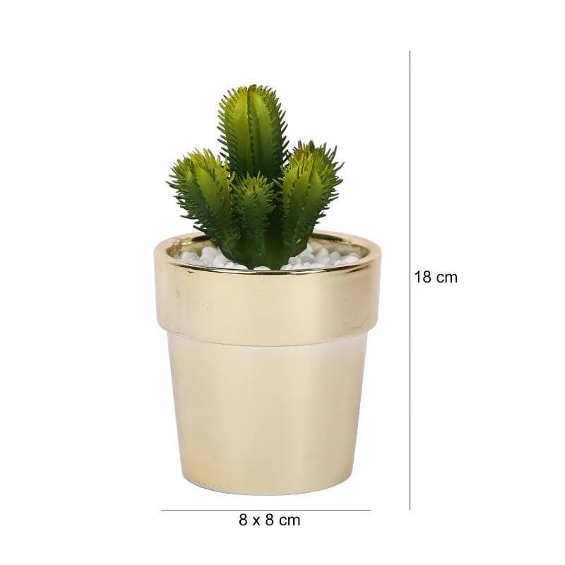 Faux Cacti In Ceramic Pot - 19 cms media 4