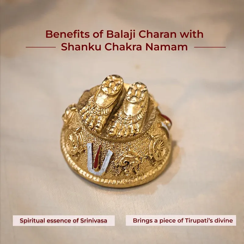 Sri Balaji Charan Divine Brass Idol media 6