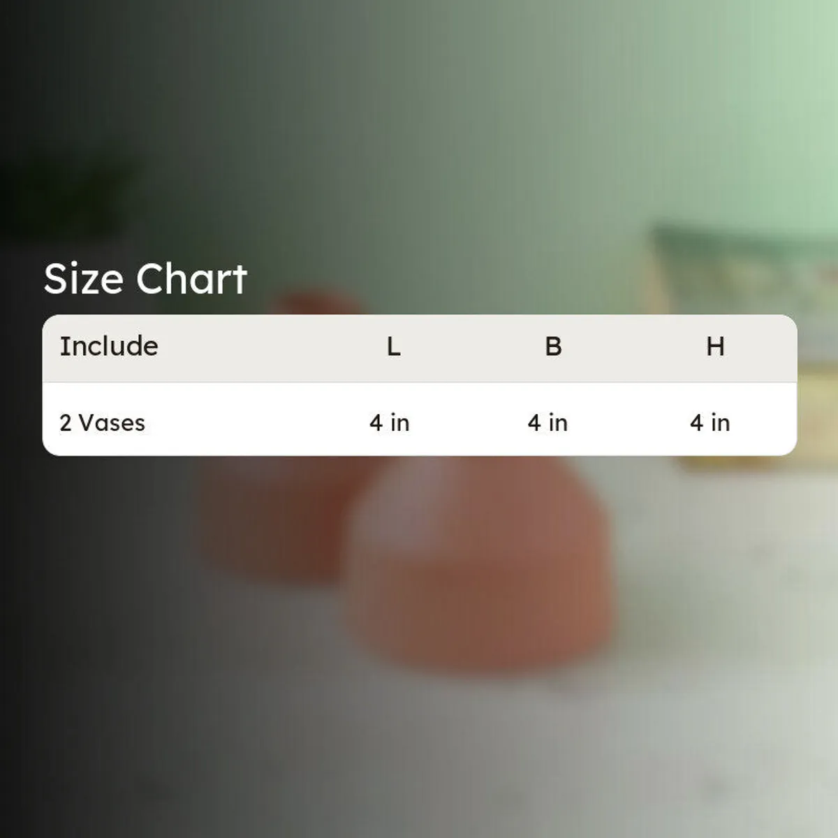 Blurred vase background with a size chart graphic overlay