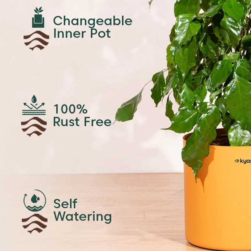 Kyari Zen Orange Metal Planter media 3