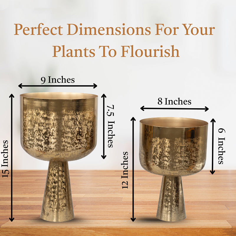 Textura Aureme Planter - Set Of Two media 6