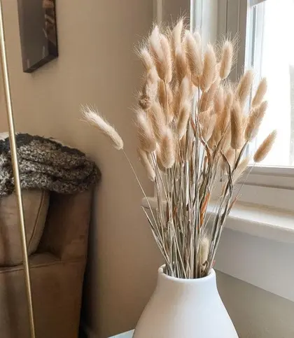 Dried Flowers & Leaves