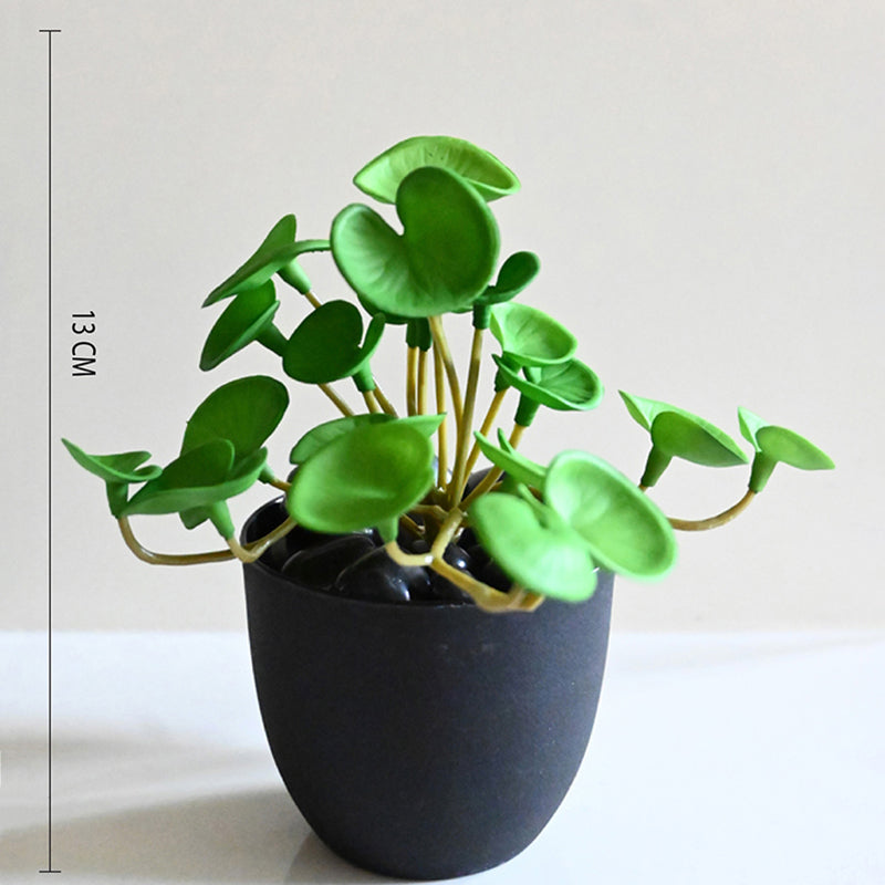 Pennelle Artificial Pennywort Leaf With Black Plastic Pot (Dark Green) - 13 cm media 6