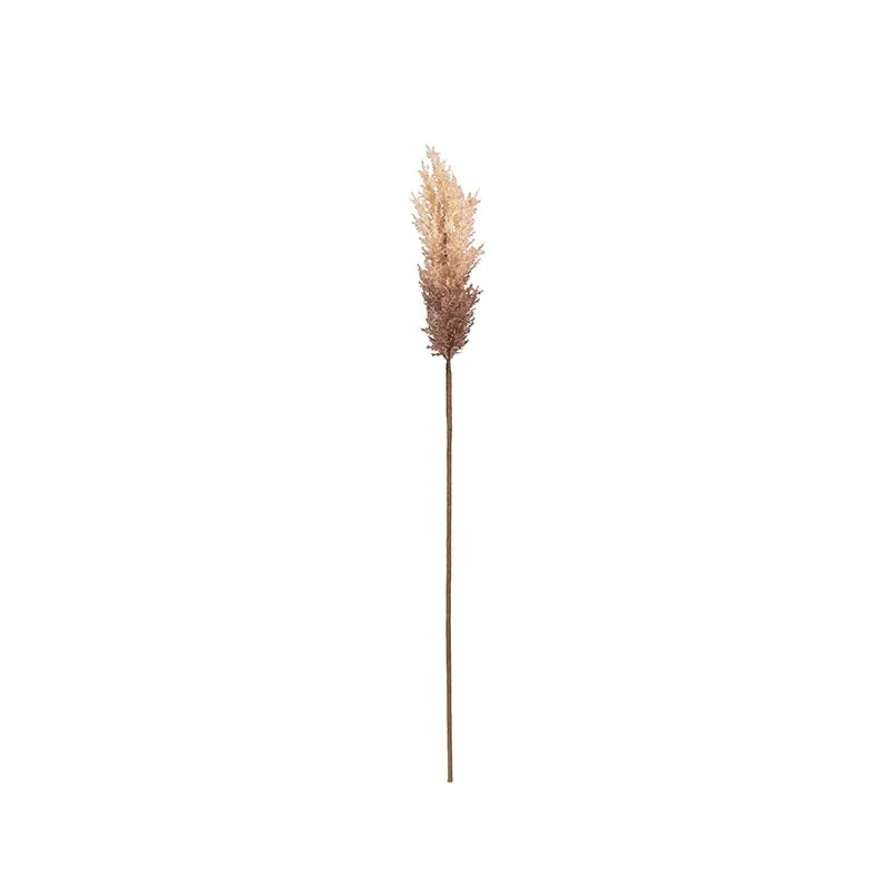 Pampera Artificial Pampas Without Vase (Beige) - 3 Feet media 7