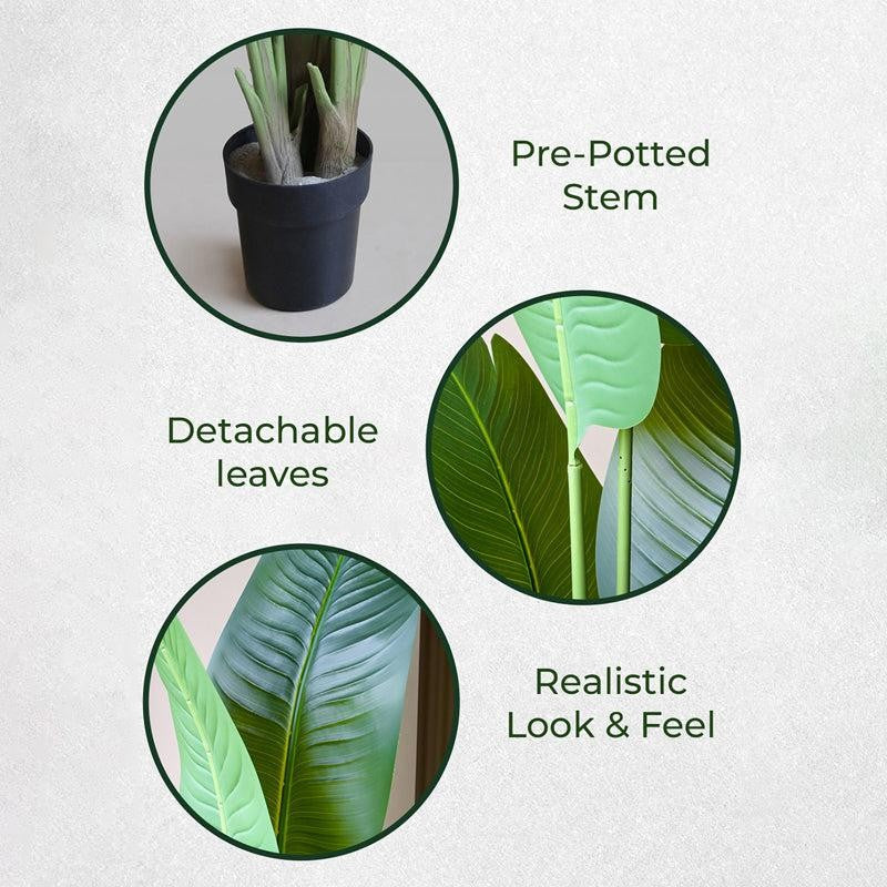 Tropibana Artificial Bird Of Paradise With Black Plastic Pot - 157 cm (5.2 ft) media 5