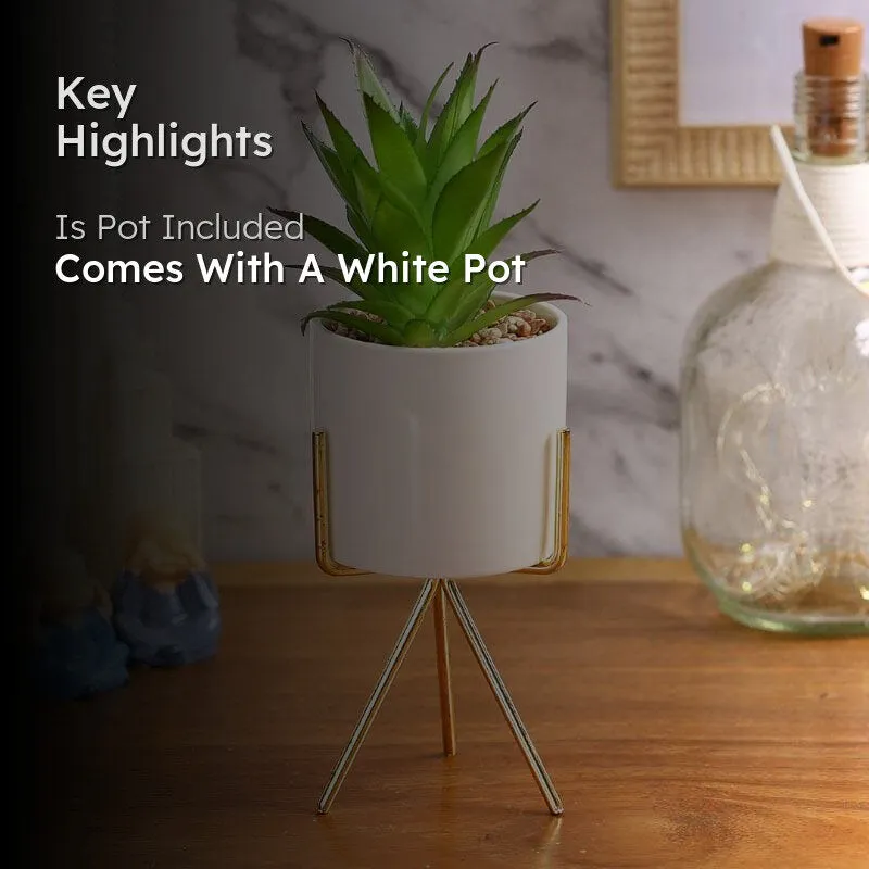 Faux Agave In White Pot With Tripod - 25 cms media 2