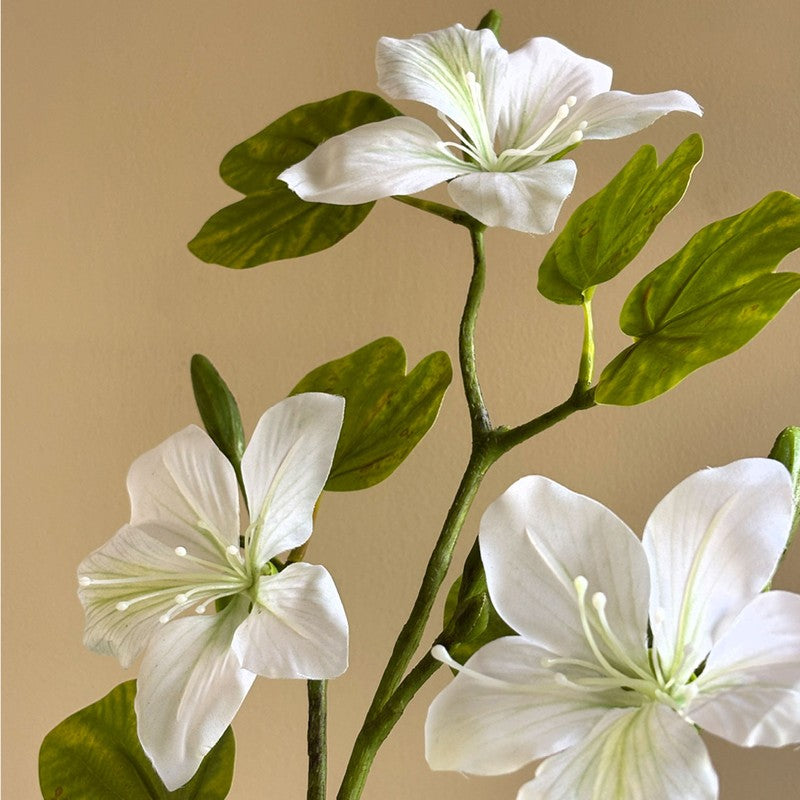 Bauhinia Artificial  Plant With Black Plastic Pot (White,Green) - 160 cm (5.2 ft) media 6
