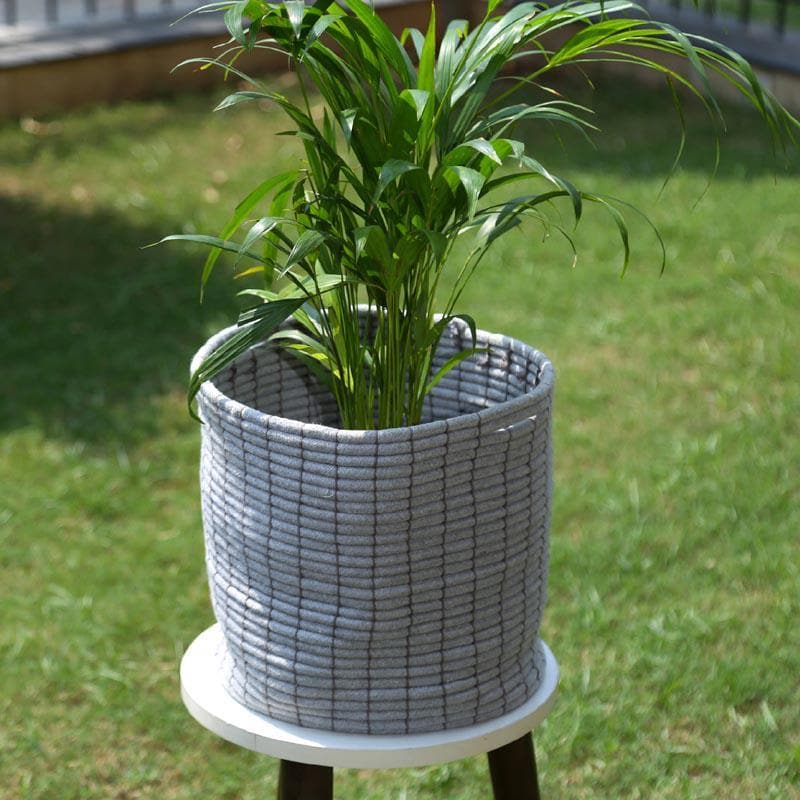 Coastal Escape Cotton Planter media 5