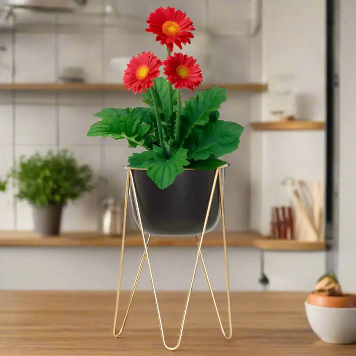 Single black planter on a gold stand in a styled room setting