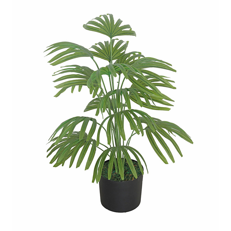 Botanique Artificial Plant With Black Plastic Pot media 4
