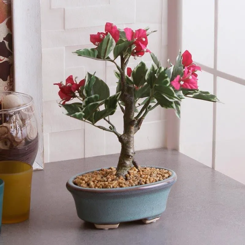 Faux Pink Bougainvillea Bonsai (24 cms) - Big media 1