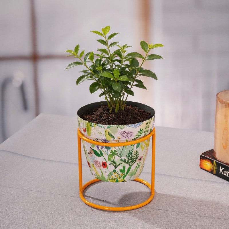 Concrete Metal Planters With Stand - Two Piece Set media 3