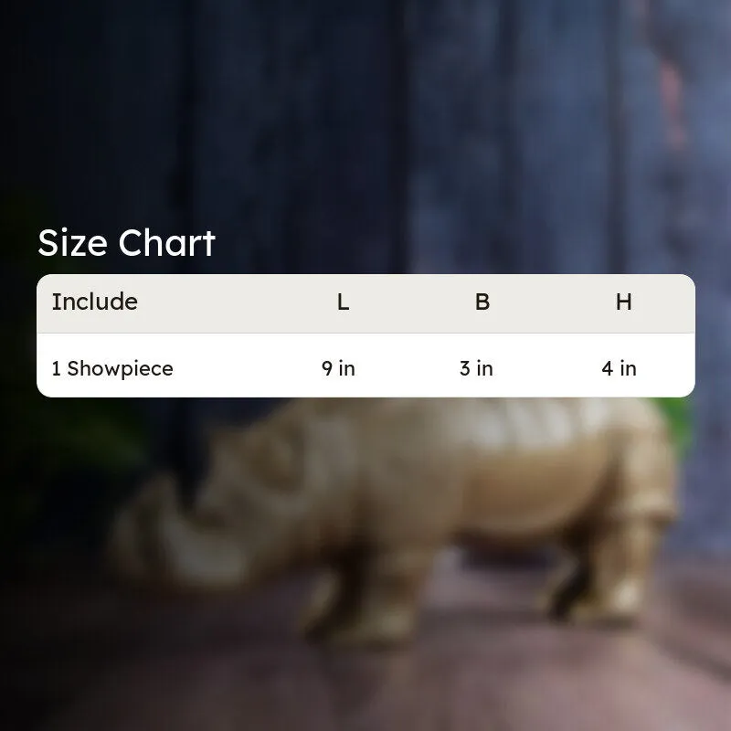 Rhino Dome Showpiece media 5