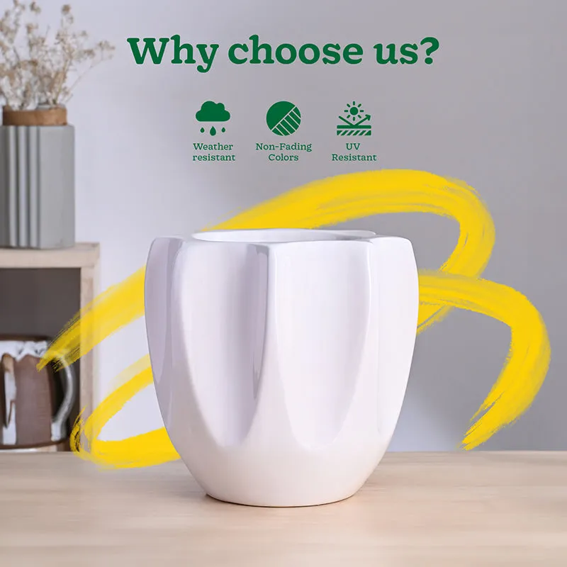 Ugaoo Pebble Pod Ceramic Planter - White media 6